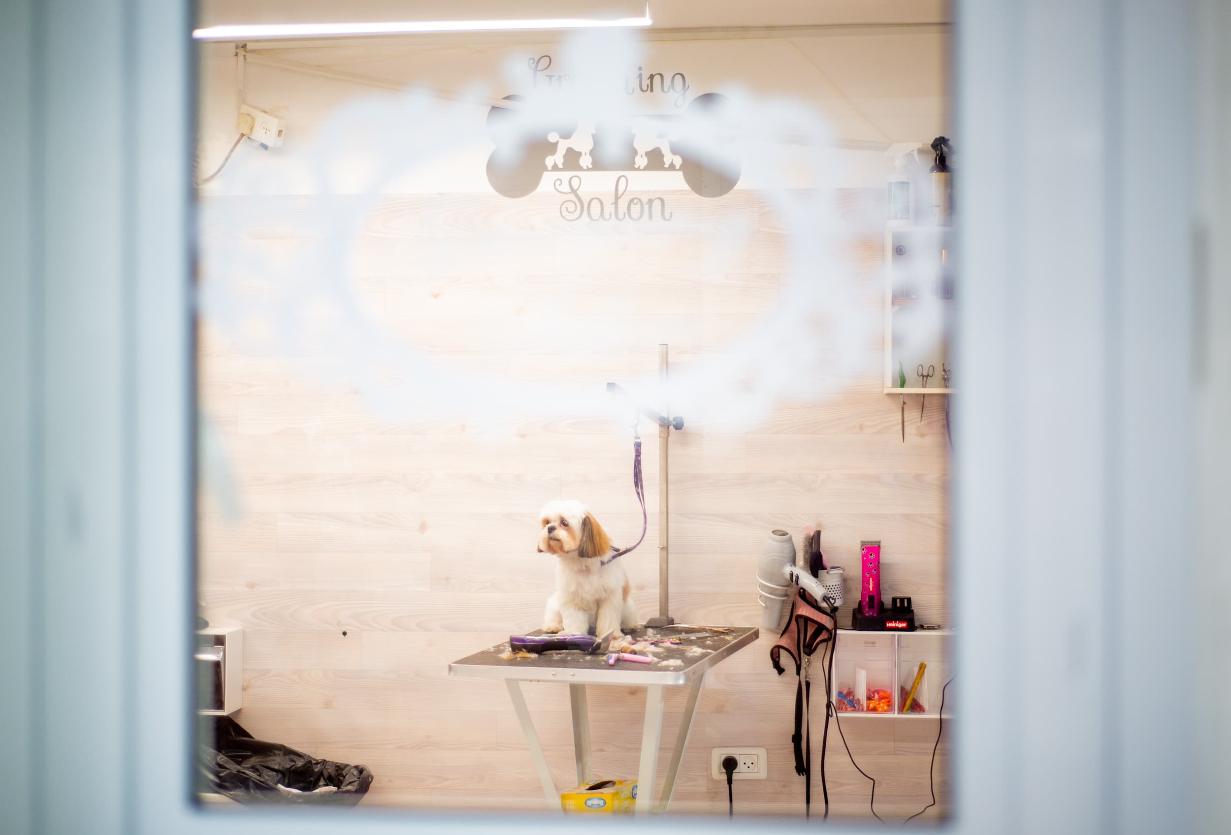 מספרת כלבים