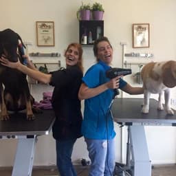 מיטל ואחינועם