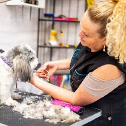 ורדית הספרית